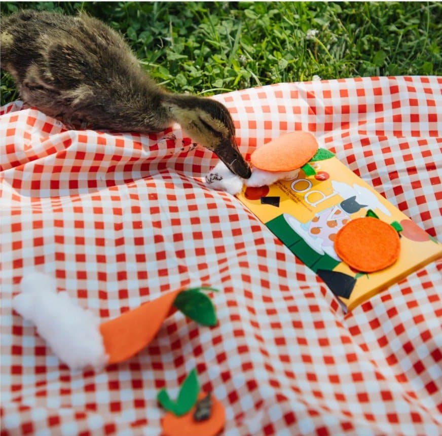 A duckling inspecting a Good Vibes bar on a picnic blanket